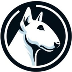 Bull Run